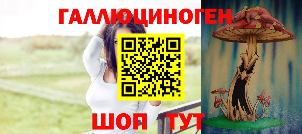 Галлюциногенные грибы прущие грибы Зеленогорск