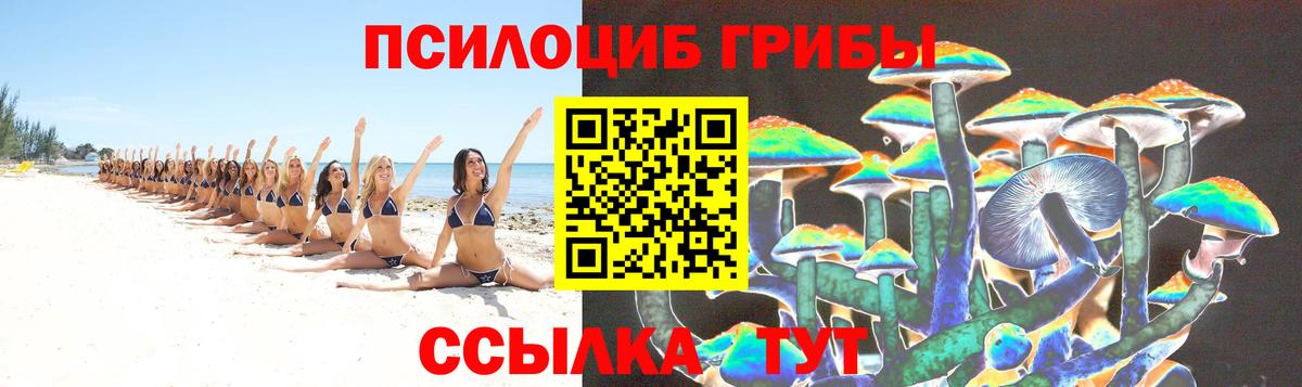 Зеленогорск  Галлюциногенные грибы Psilocybe  Вход с VPN 